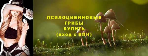герыч Бугульма