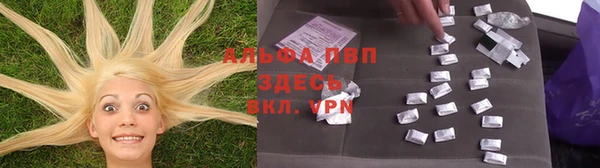 винт Бородино