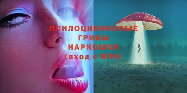 МДПВ Бронницы