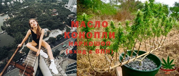 винт Бородино