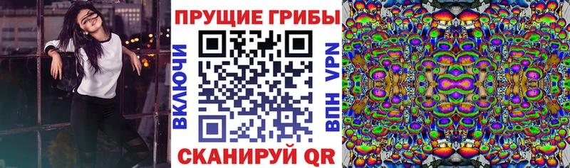 Купить где  Люберцы  Псилоцибиновые грибы Magic Shrooms 